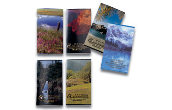 Assorted Scenic Cals W/ Vinyl