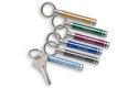 Showcase Keychain