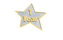 Pin 1 Year Service Star