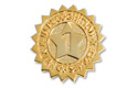 1 yr service recognition pin