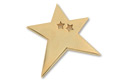 pin star die-cut w/ 2 sml star