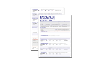 Employee Performance Evaluatio